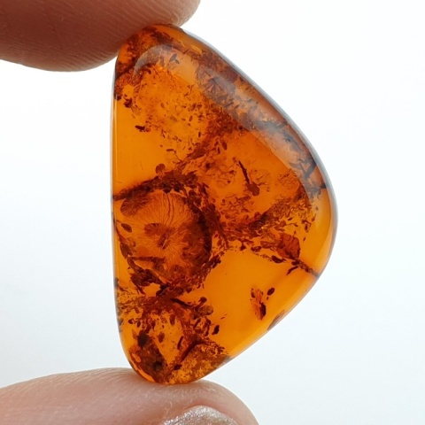 Baltic amber cabochon 27x17 mm no 933