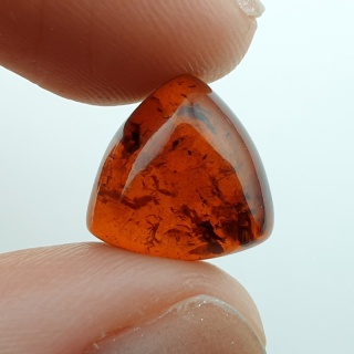 Baltic amber cabochon 12x12 mm no A169
