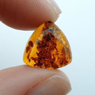 Baltic amber cabochon 12x12 mm no A242