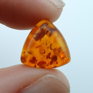 Baltic amber cabochon 12x12 mm no A247