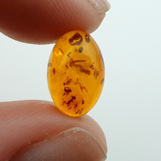 Baltic amber cabochon 12x8 mm no A353