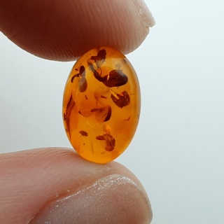 Baltic amber cabochon 12x8 mm no A367