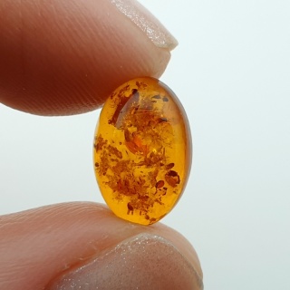 Baltic amber cabochon 12x8 mm no A376