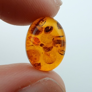 Baltic amber cabochon 13x10 mm no A328