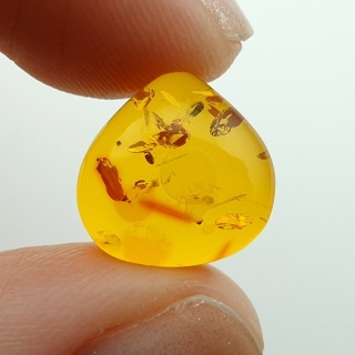 Baltic amber cabochon 13x12 mm no A219