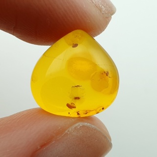 Baltic amber cabochon 13x13 mm no A238