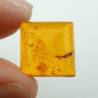 Baltic amber cabochon 14x13 mm no A168