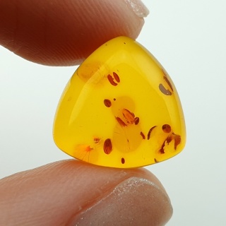 Baltic amber cabochon 14x14 mm no A156