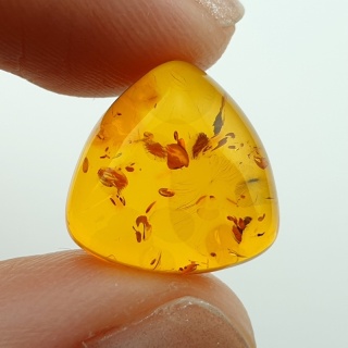 Baltic amber cabochon 14x14 mm no A184