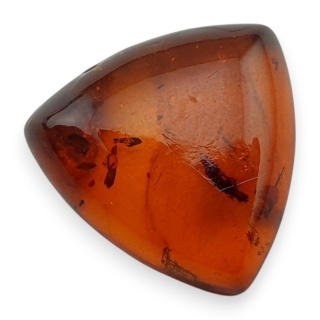Baltic amber cabochon 14x14 mm no A201