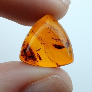 Baltic amber cabochon 14x14 mm no A201