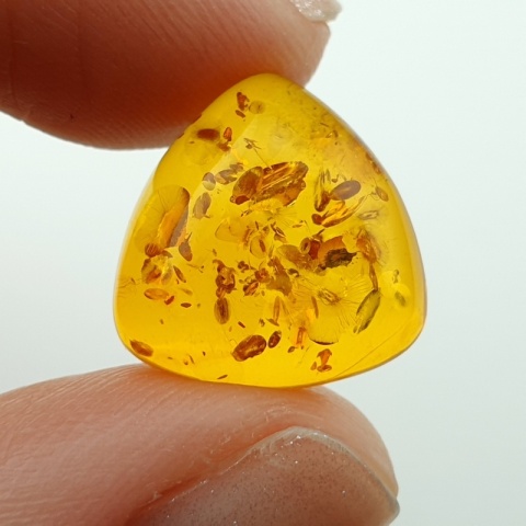 Bursztyn bałtycki kaboszon 14x14 mm nr A225