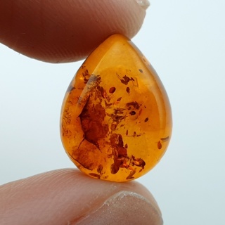 Bursztyn bałtycki kaboszon 16x12 mm nr A185