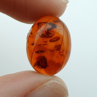 Bursztyn bałtycki kaboszon 16x12 mm nr A286