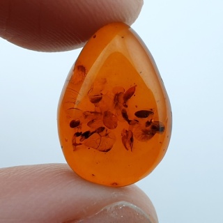 Bursztyn bałtycki kaboszon 17x12 mm nr A200