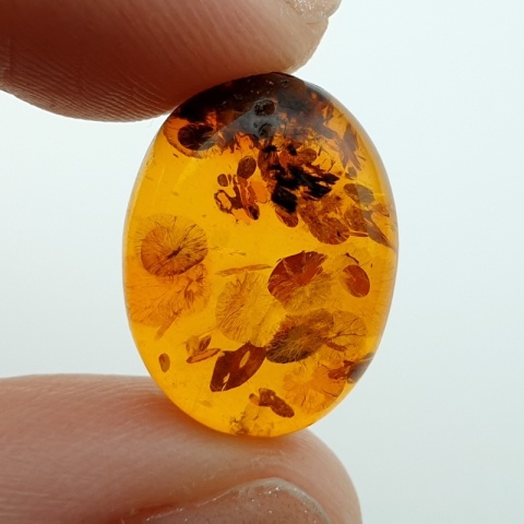 Bursztyn bałtycki kaboszon 17x13 mm nr A179