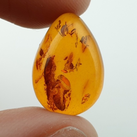 Bursztyn bałtycki kaboszon 18x13 mm nr A166