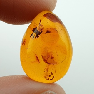 Bursztyn bałtycki kaboszon 18x13 mm nr A172