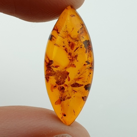 Bursztyn bałtycki kaboszon 24x10 mm nr A165