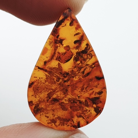 Baltic amber flat teardrop 25x16 mm no 20