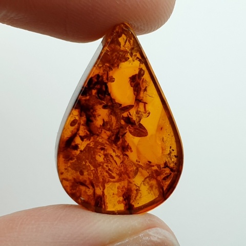 Baltic amber flat teardrop 25x16 mm no 8