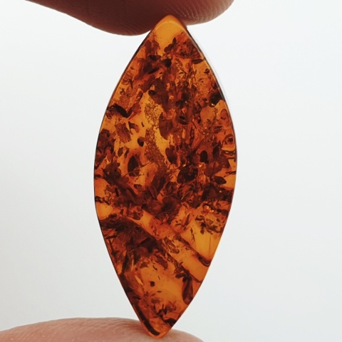 Baltic amber flat marquise 30x13 mm no 11