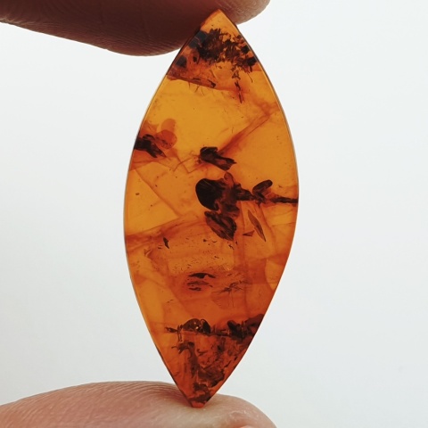 Baltic amber flat marquise 31x13 mm no 5