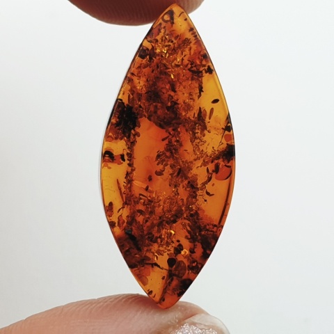 Baltic amber flat marquise 31x14 mm no 15