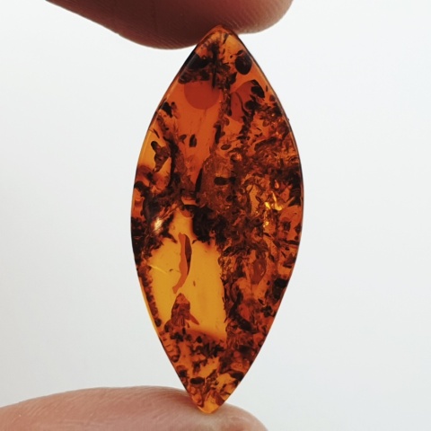 Baltic amber flat marquise 31x14 mm no 9