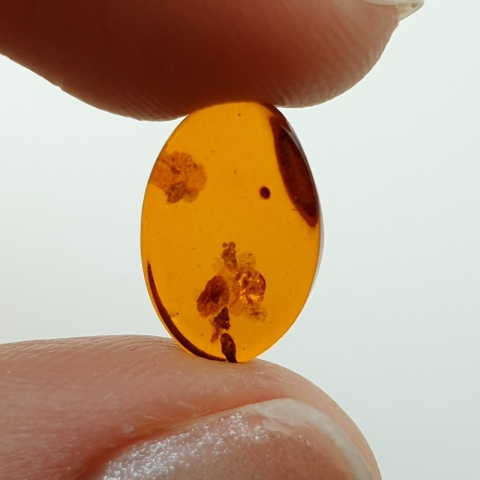 Baltic amber flat oval 12x8 mm no 6