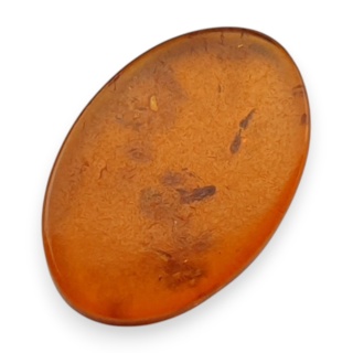 Bursztym bałtycki płaski owal 12x8 mm nr 9
