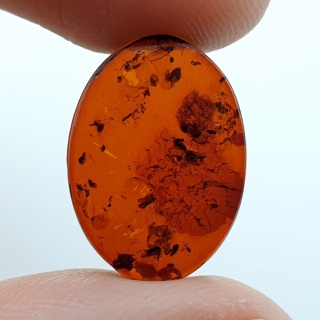 Bursztym bałtycki płaski owal 17x12 mm nr 1