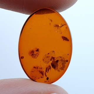 Bursztym bałtycki płaski owal 17x12 mm nr 2