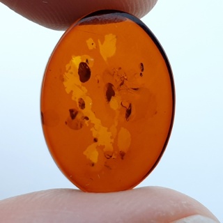 Bursztym bałtycki płaski owal 17x13 mm nr 3