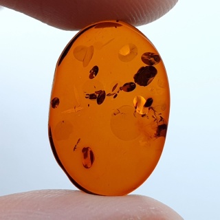 Bursztym bałtycki płaski owal 18x12 mm nr 4