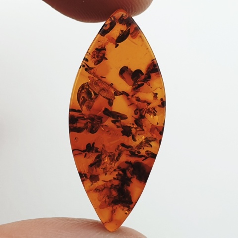 Baltic amber flat marquise 31x14 mm no 19