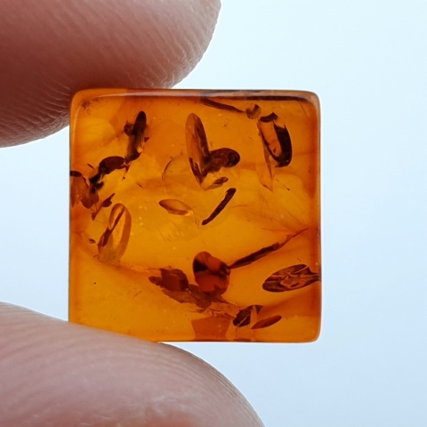 Bursztyn bałtycki płaski kwadrat 10x10 mm nr 12