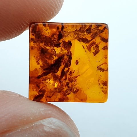 Bursztyn bałtycki płaski kwadrat 10x10 mm nr 22