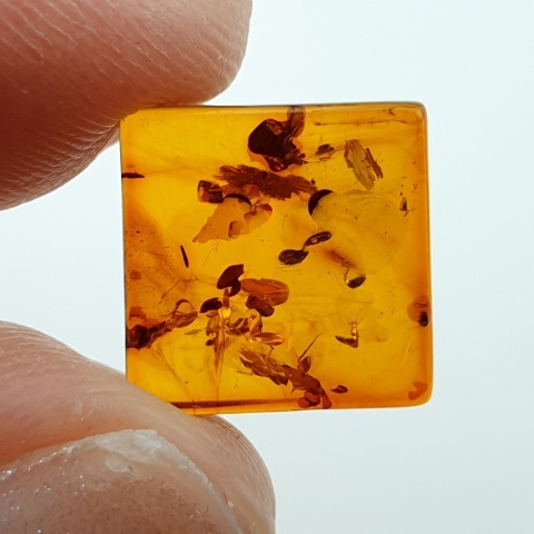 Bursztyn bałtycki płaski kwadrat 10x10 mm nr 27