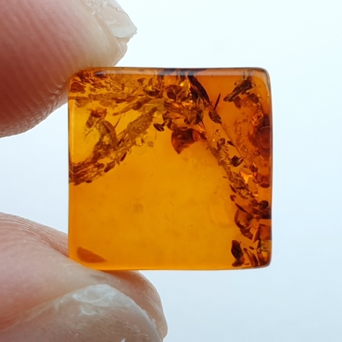 Bursztyn bałtycki płaski kwadrat 10x10 mm nr 45