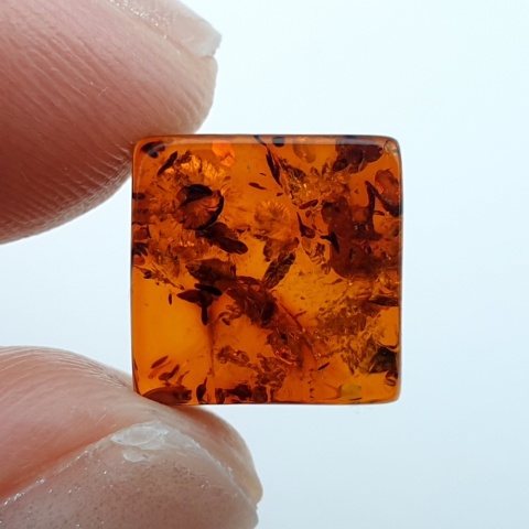 Bursztyn bałtycki płaski kwadrat 10x10 mm nr 53