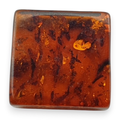Bursztyn bałtycki płaski kwadrat 11x10 mm nr 33