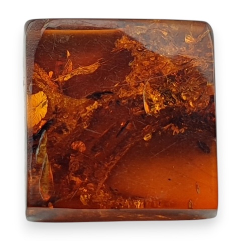 Bursztyn bałtycki płaski kwadrat 11x11 mm nr 9