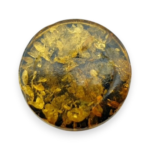 Bursztyn bałtycki płaski okrągły fi 15 mm nr 20