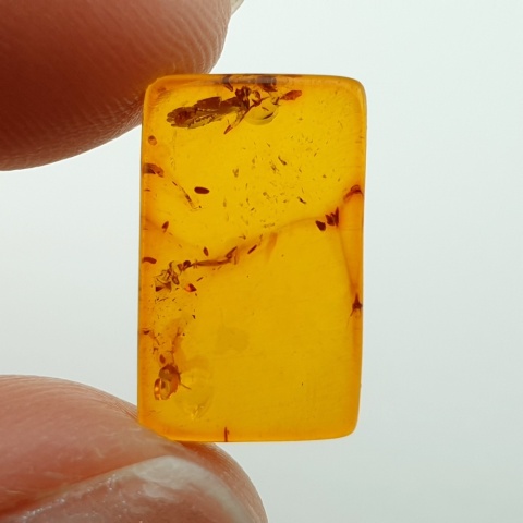 Baltic amber flat rectangle 15x9 mm no 1