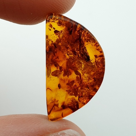 Baltic amber flat semicircle 22x12 mm no 15