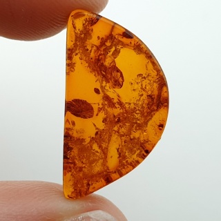 Bursztyn bałtycki płaskie półkole 22x12 mm nr 18