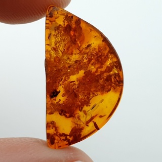 Bursztyn bałtycki płaskie półkole 22x12 mm nr 23