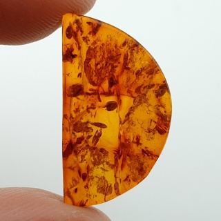 Bursztyn bałtycki płaskie półkole 22x12 mm nr 24