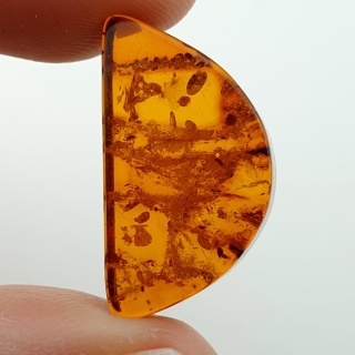 Bursztyn bałtycki płaskie półkole 22x12 mm nr 26